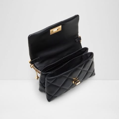ALDO BAGS(FREE SF๐)